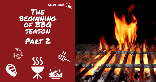 The beginning of BBQ season - Part 2